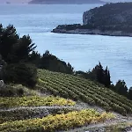 Villa Iconique Et Calme Absolu Pour 1 A 10 Personnes Cassis