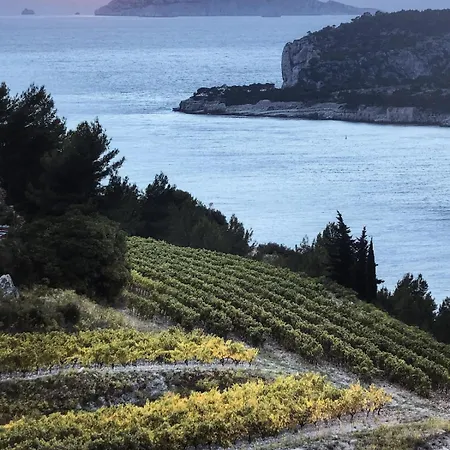 Villa Oasis Chic & Zen, Villa D'Exception Pour 1 A 11 Personnes Cassis
